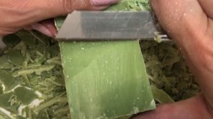 Dalan 4 / Cutting dry soap ASMR / Далан 4 шт / Режу сухое мыло АСМР