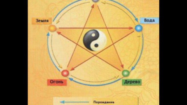 1. Введение в иглотерапию