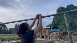 Single Mom - Build a Bamboo Truss for Climbing Beans & Pick Vegetables, Banana Leaves to Sell #diy