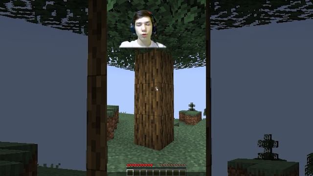 5 полезных команд для выживания | Minecraft смотреть онлайн