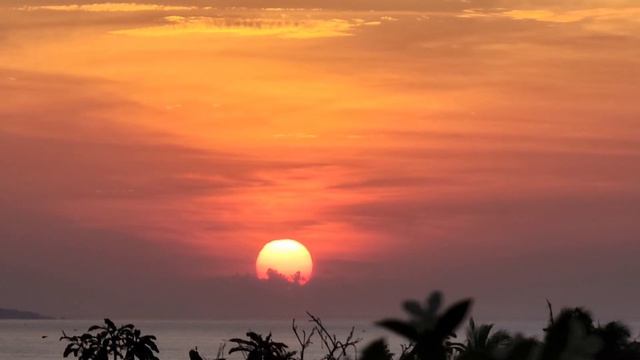 рассветы, доброе утро Вьетнам смотреть онлайн