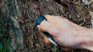 ЛУЧШИЙ НОЖ ДЛЯ ПОХОДА? BENCHMADE 585 MINI BARRAGE