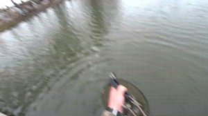 Ирина обловила Василия. Ловля форели на спиннинг на платнике.