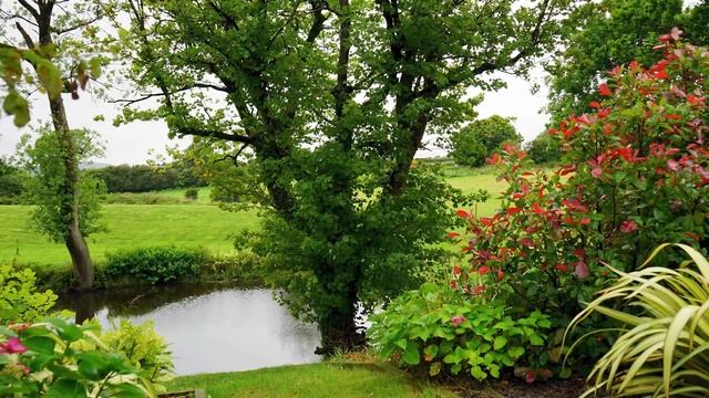 Швея захотела семью и пришла в интернат, но на такое развитие событий она не рассчитывала смотреть онлайн