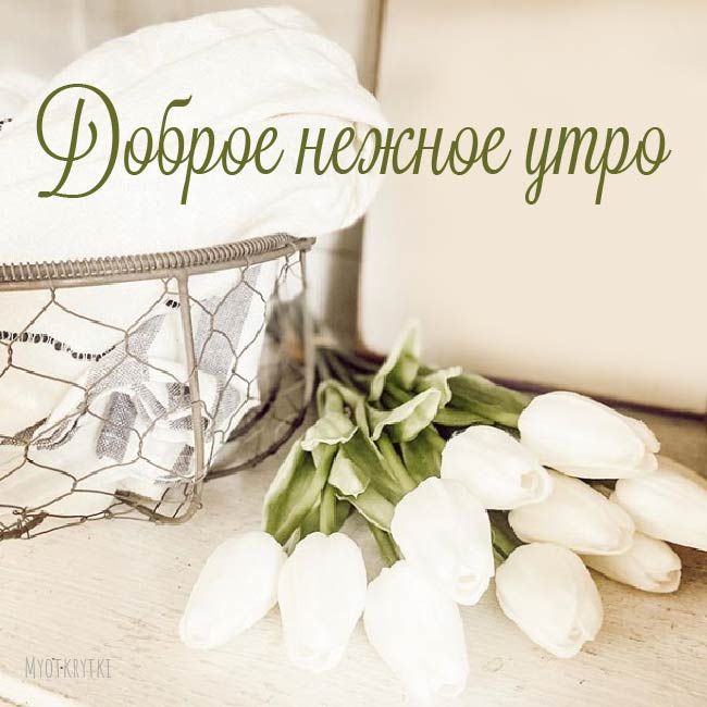 С добрым утром! Желаю лёгкого подъёма, хорошего настроения, вкусного завтрака
