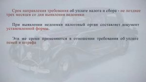 Требование об уплате транспортного налога