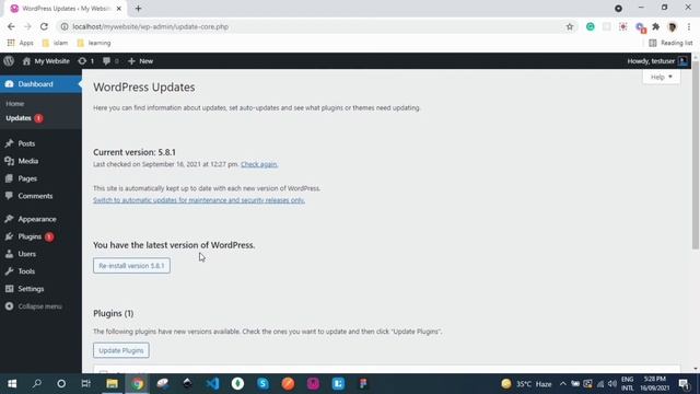 Ep. 010 - WordPress Updates Screen - Learn WordPress in Urdu - Free Course