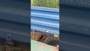 Телега Марка 1 ПТС 2 экспресс-обзор от Виталия Белоглазова