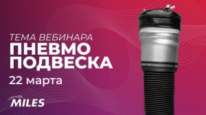 Вэбинар-стрим. Пневмоподвеска