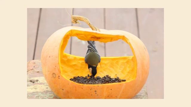 КОРМУШКИ ДЛЯ ПТИЦ и не только ? смотреть онлайн