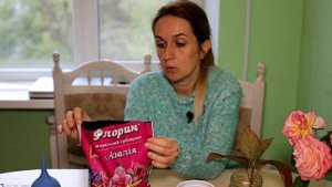 Как размножить гортензию? Черенкование крупнолистной гортензии осенью. Как укоренить?