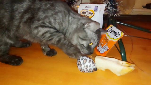 Новый Год в мире домашних животных!
