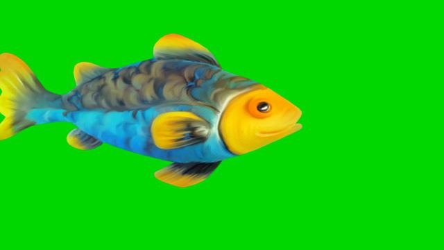 ХРОМАКЕЙ-СКЧАТЬ БЕСПЛАТНО ФУТАЖИ -РЫБА КАРП-- ДЛЯ ВИДЕОМОНТАЖА смотреть онлайн