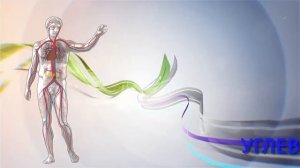 Калорийность продуктов питания
