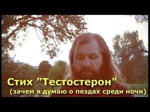 Стих "Тестостерон" (зачем я думаю о пездах среди ночи)