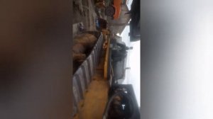 Потёк кареной  сальник shantui 16.