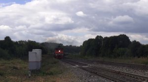 Яркое летнее утро и разнообразный подвижной состав на перегоне Товарково - Жданка