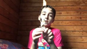 Динозавры PAPO/ Мелкие ящеры V/T