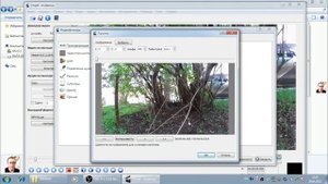 Как добавить логотип в видеозапись с помощью видеоредактора Avidemux