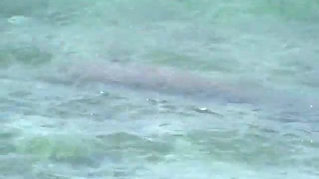 Что ЭТО было на Улувату? смотреть онлайн