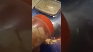 Что нужно для содержания рыбок Петушков ?