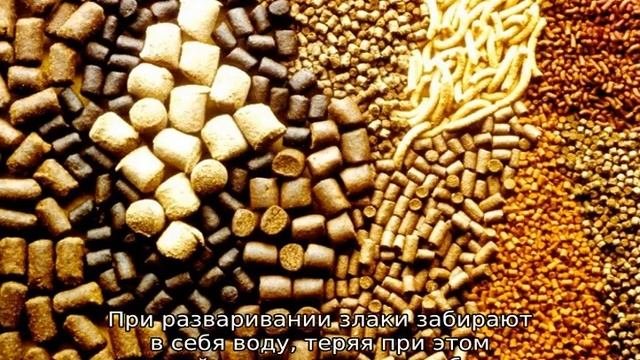 Комбикорм для уток