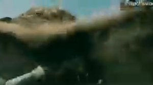король ишут пригну со скалы.mp4