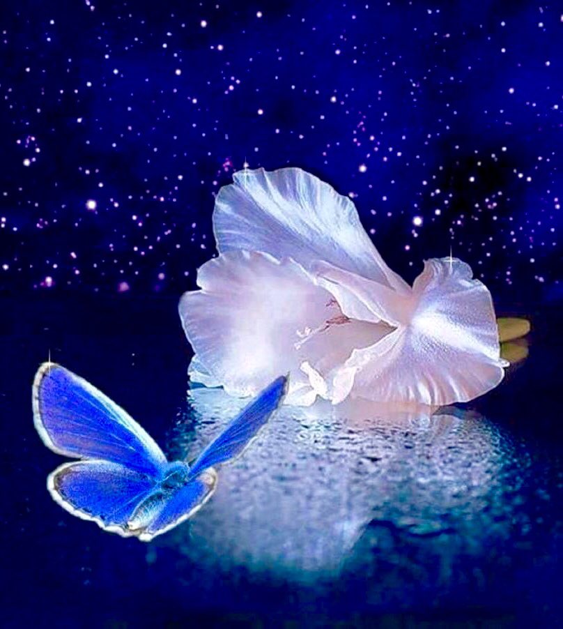Фото спокойной ночи сладких снов красивые цветы