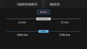 Canon 5D Mark IV vs Nikon Z6  [Camera Battle]