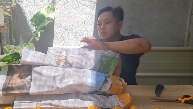 Bakit kailangan mong Imonitor ang mga plant deliveries from JRS? - Mabubuhay pa kaya ang mga ito? смотреть онлайн