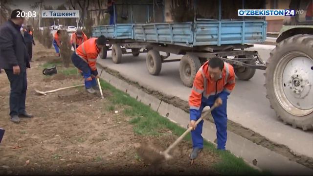 На территории 2-го сектора Учтепинского района Ташкента проведена благоустроительная работа смотреть онлайн