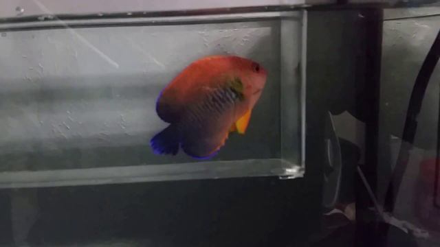 QT Batch смотреть онлайн