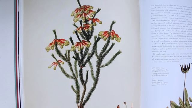 Art Book Haul  APR 19