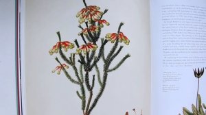 Art Book Haul | APR 19