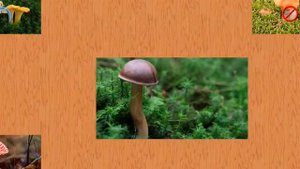 игра природа для малышей