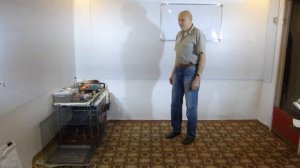 Как правильно использовать электронный ошейник