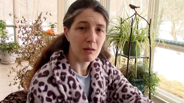 Shakespeare's Sonnet 51 2017 смотреть онлайн