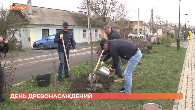 День древонасаждения: за 10 лет акции в регионе высажено больше 3 млн деревьев и кустарников смотреть онлайн