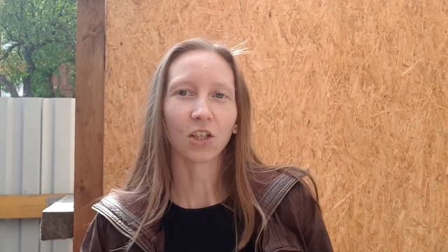 Для чего нужны законы и что такое политика? Метафора "Светофор". смотреть онлайн