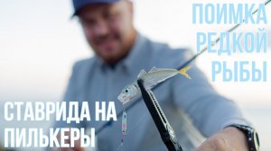 ROCKFISHING летом. Ловля СТАВРИДЫ на пилькеры и поимка редкой рыбы