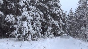 Нани Брегвадзе  Снегопад и музыка из фильма Шербурдские зонтики