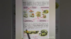 3 класс. ГДЗ. Часть 2. Окружающий мир. Рабочая тетрадь. Страницы 16-19. Плешаков.С комментирование