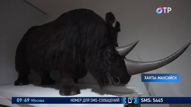 Квест-игра Инсайд. Вещает ОТР (Общественное телевидение России).