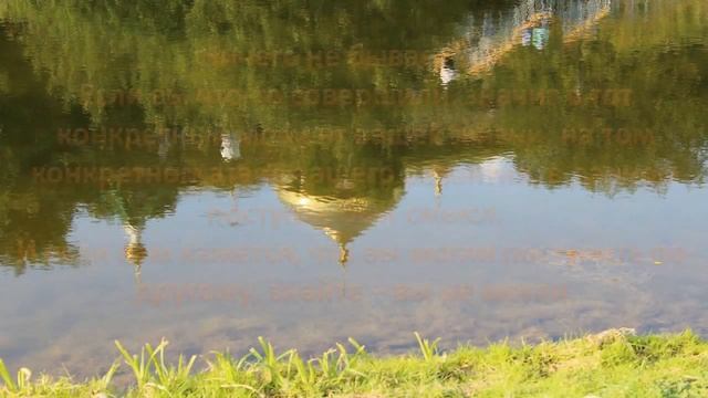 Цитаты / Афоризмы смотреть онлайн