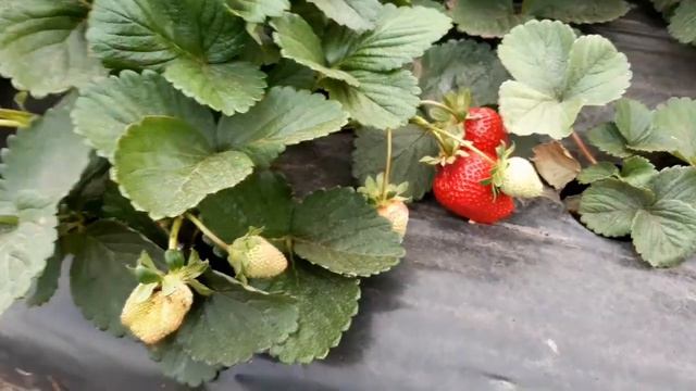 Всем доброго дня! смотреть онлайн