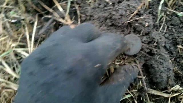 ВЕЗУЧИЙ КОП НА СТАРОЙ ЗАБРОШЕННОЙ ДЕРЕВНЕ , КОП С МЕТАЛОИСКАТЕЛЕМ ( ГАРЕТ 400 I ) смотреть онлайн