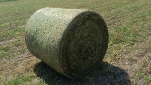 Российский пресс - выходим на 1000 рулонов сенажа!