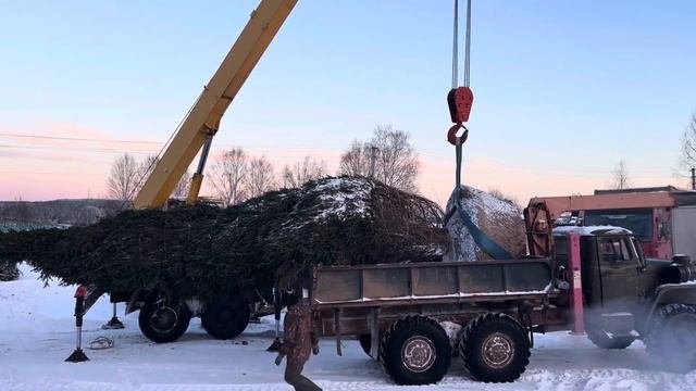 Зимняя Выкопка и Посадка Крупномеров Ели Сибирской, приём заказов на Осень-Зима-Весна 2023-2024г