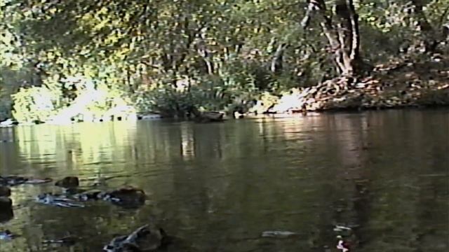 Sad Robots 8/20/23 (Sony Handycam CCD-TRV43) смотреть онлайн