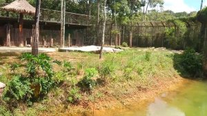 Винперл Сафари Фукуок